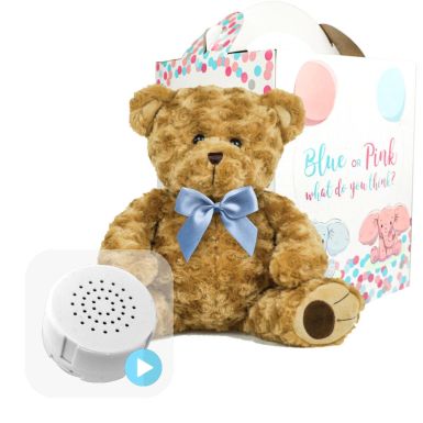 Twist Bear with Blue Bow Gender Reveal Set