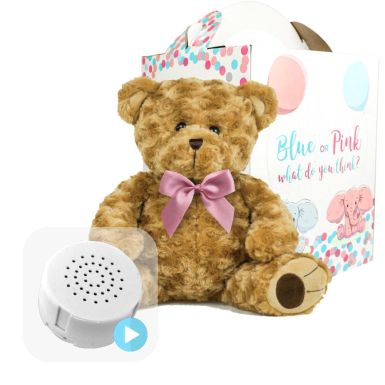 Twist Bear with Pink Bow Gender Reveal Set