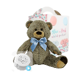Grizzly Bear with Blue Bow Gender Reveal Set