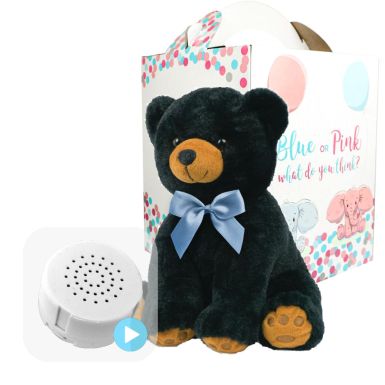 Black Bear with Blue Bow Gender Reveal Set