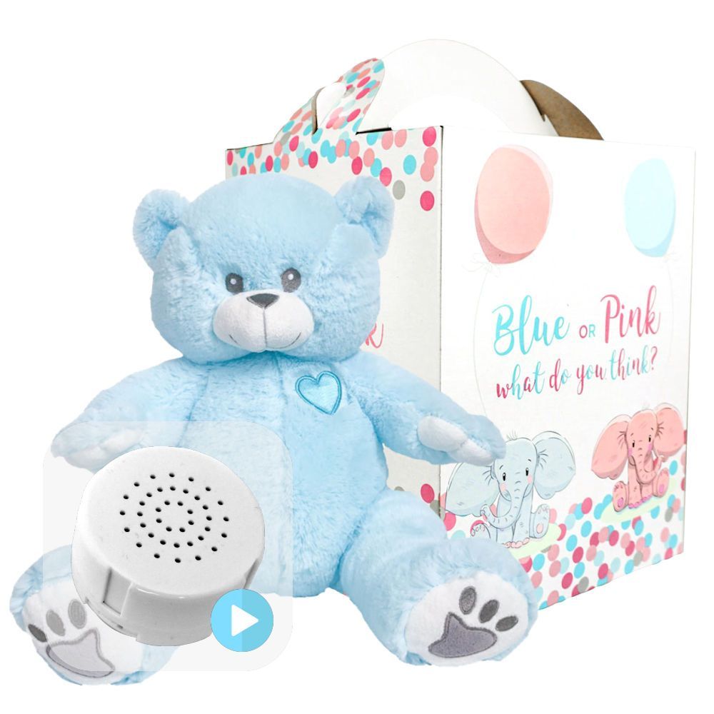 Blue Bear Gender Reveal Set
