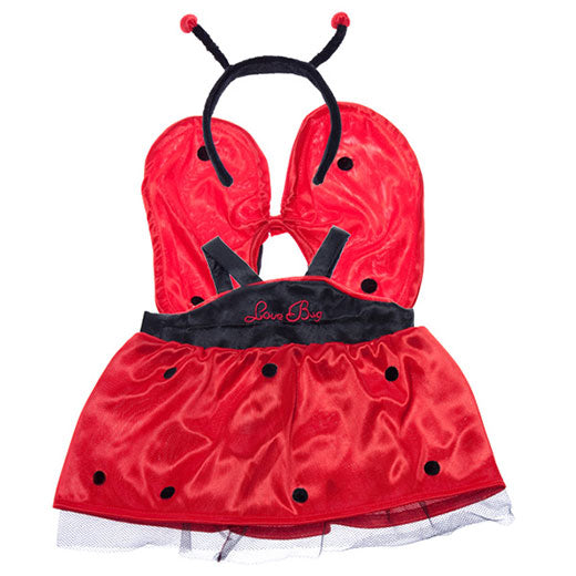 Ladybug