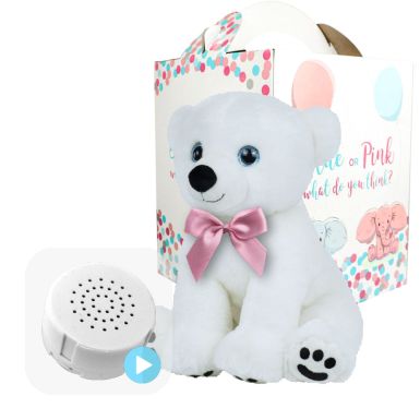 White Bear with Pink Bow Gender Reveal Set
