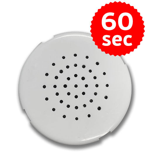 60 Second Record Your Own Sound