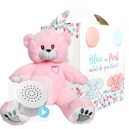Pink Bear Gender Reveal Set
