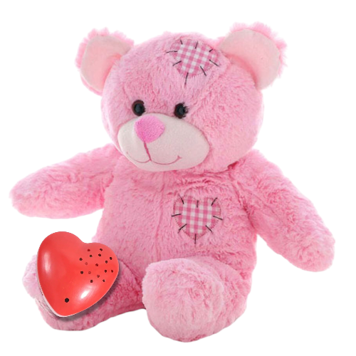 Pink Teddy Bear Heartbeat Gift Set