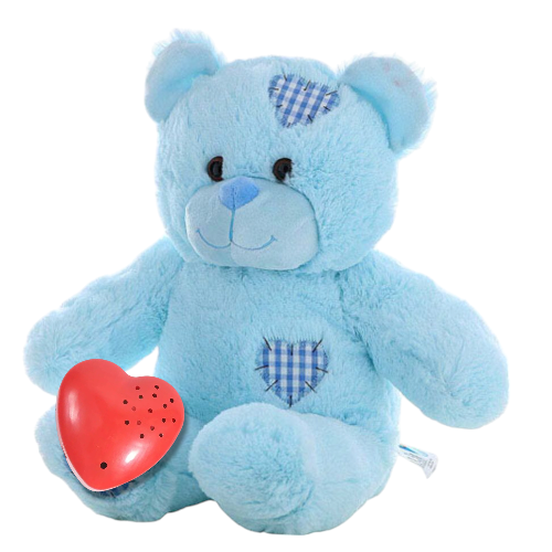 Blue Teddy Bear Heartbeat Gift Set